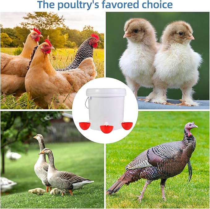 Automatic Chicken Waterer Cups,10 Pack Large Chicken Water Feeder, Universal Tee Fittings Poultry Feeder Cups Suitable for Chicken, Duck, Goose, Turkey with Mounting Hole Opener
