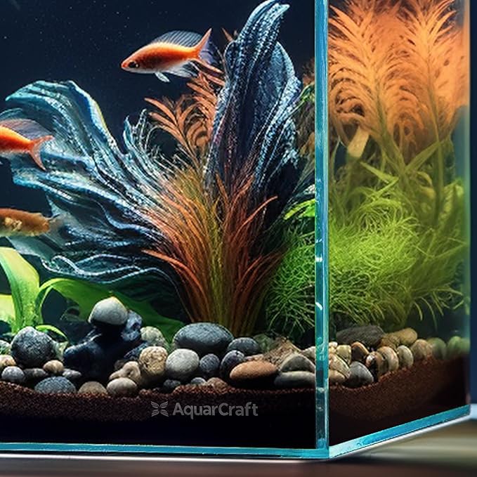 Ultra Clear Glass Fish Tank 6.5 Gallon, 6mm Thickened Rimless Aquarium Tank Low Iron, Cube Aquarium 11.8in x 11.8in x11.8in