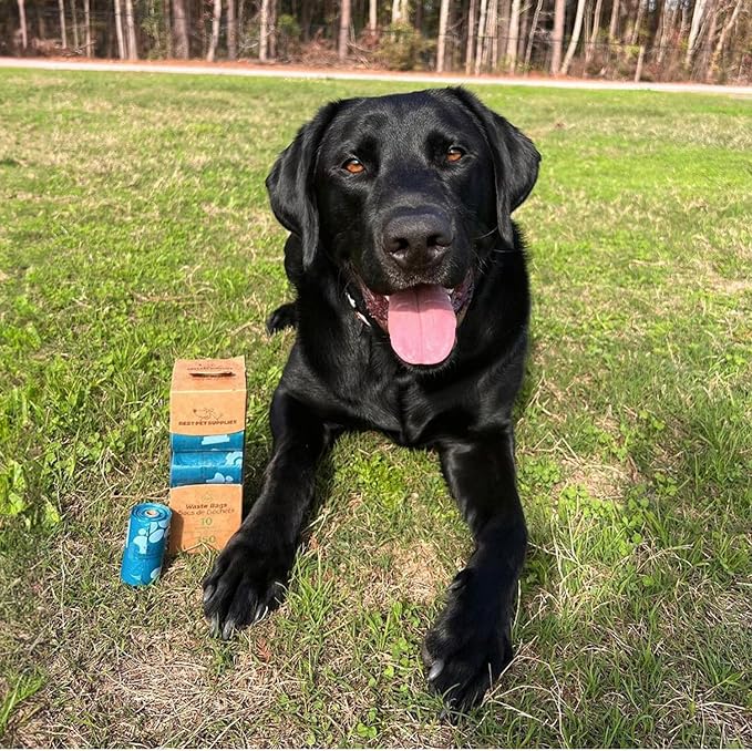 Best Pet Supplies Dog Poop Bags for Waste Refuse Cleanup, Doggy Roll Replacements for Outdoor Puppy Walking and Travel, Leak Proof and Tear Resistant, Thick Plastic - Turquoise, 150 Bags