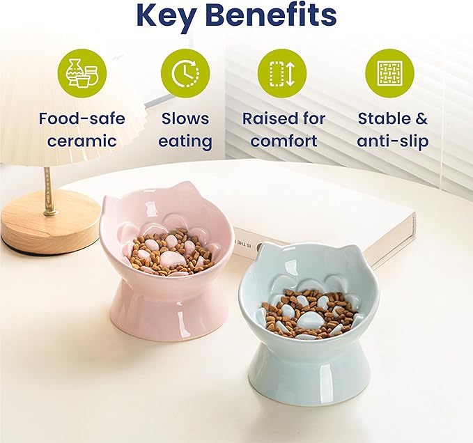 PawsPik Lynx Ceramic Raised Slow Feeder Dog & Cat Bowl, Tilted 15° Elevated Pet Food Bowl, Whisker-Friendly Anti-Choking Dish, Dishwasher Safe (Sky Blue)