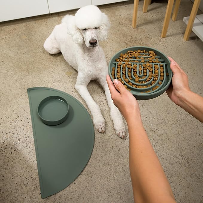 Should We Go? Slow Feeder for Dogs & Puppies, The Slowdown Bowl Silicone Slow Eating, Modern Lick Mat Design, Reduces Gulping, Fits 2 Cups, 7.5” Across x 1.5” Tall, Mealtime Challenge, Medium-Spruce