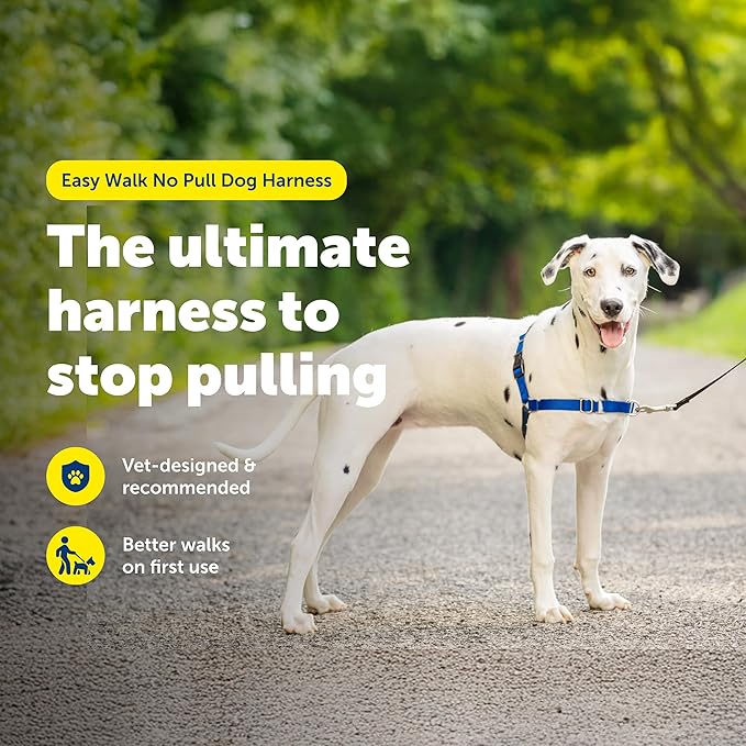 PetSafe Easy Walk No-Pull Dog Harness - The Ultimate Harness to Help Stop Pulling - Take Control & Teach Better Leash Manners - Helps Prevent Pets Pulling on Walks, Medium/Large, Royal Blue/Navy Blue