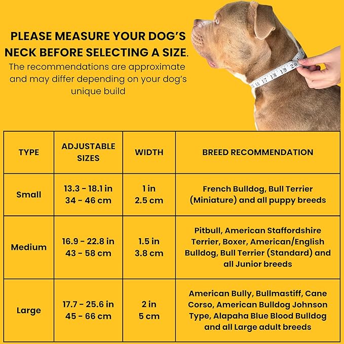 Heavy Duty Dog Collar, Tactical Dog Collar, Dog Collars for Medium Dogs, Waterproof Dog Collar, Dog Training Collar, Quick-Release Metal Buckle, Adjustable Sizes – BULLYBREED (Yellow, Medium)