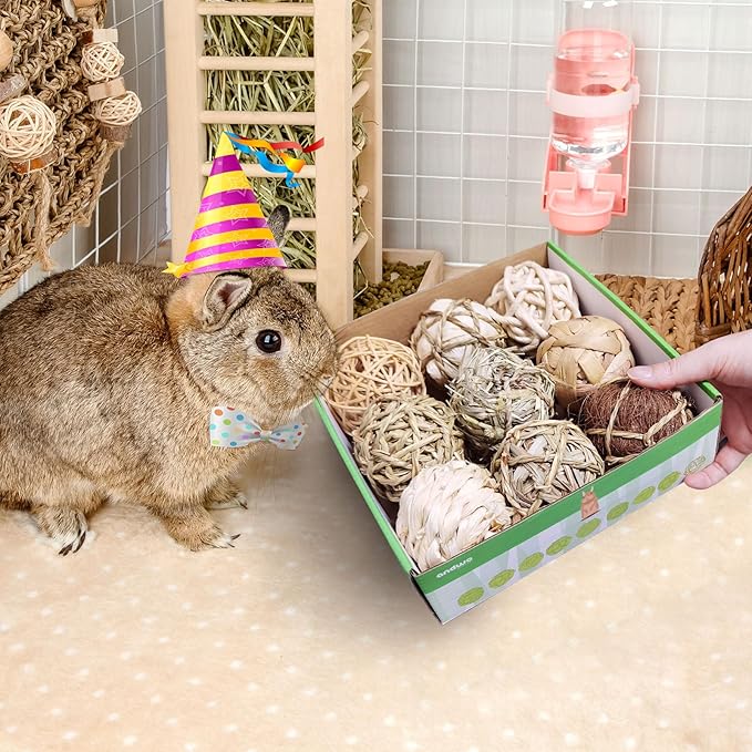 andwe Small Animals Play Balls Rolling Chew Toys & Gnawing Treats for Rabbits Guinea Pigs Chinchilla Bunny Degus - Pet Cage Entertainment Accessories (Pack of 9)