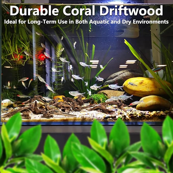 Tfwadmx Natural Small Coral Driftwood for Aquarium Decor 26 Pcs 4-6" Fish Tank Decorations Reptile Decor Assorted Driftwood Branch Reptile Tank Wood Decor