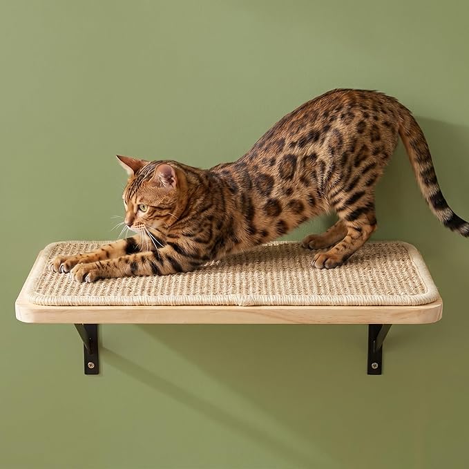 Cat Wall Shelves Stairs Cat Wall Furniture Mounted, 2PCS Shelves & 2PCS 4 Steps Climbing Shelf Scratching Perches for Sleeping, Playing, Climbing