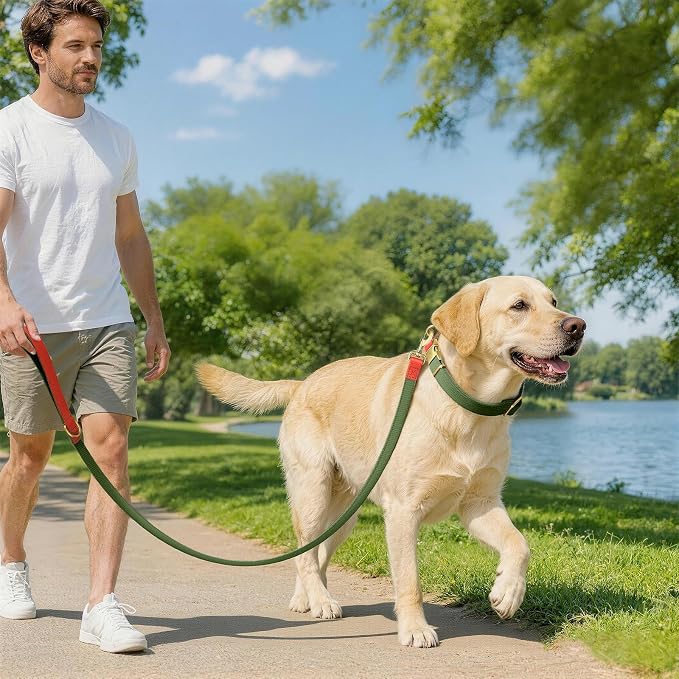 Dog Collar and Leash Set with Metal Quick Release Buckle, Adjustable, Breathable Nylon, Durable, Soft and Comfortable, No Pull for Walking and Training, Green, L (14.9"-22.8")
