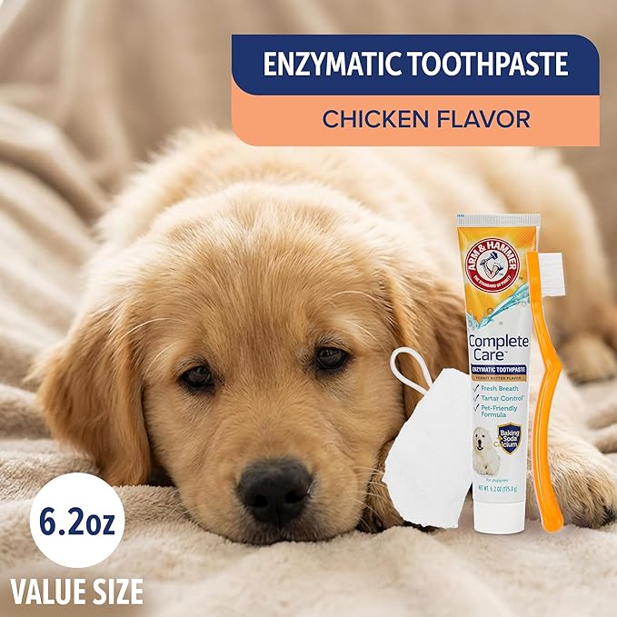 Arm & Hammer Complete Care Puppy Dental Kit, Enzymatic Toothpaste with Baking Soda and Calcium for Dogs, Peanut Butter Flavor, Toothbrush and Microfiber Brush Included, Fluoride-Free, 2.5 Oz