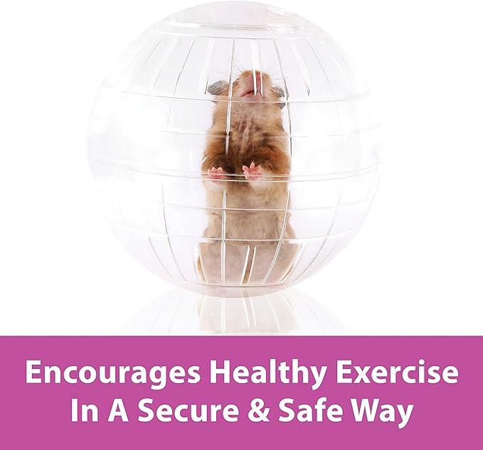 Kaytee 13" Clear Run-About Exercise Ball For Pet Rats & Chinchillas