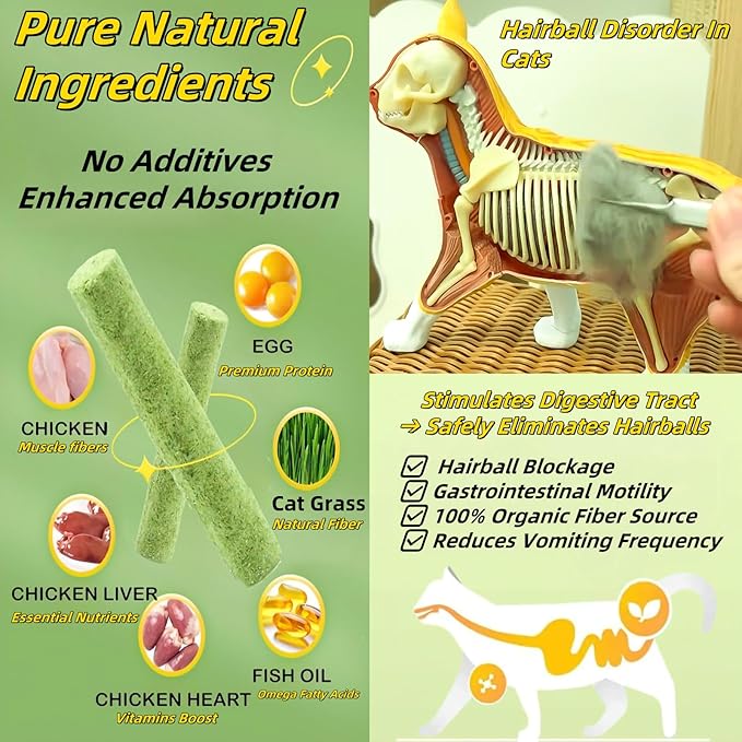 Cat Toys 6Pack Kitten Grass Treat Stick Catnip Toy with Silvervine for Indoor Kitten Toys Kitten Grass Sticks for Teeth Cleaning Cat Snack for Kitty Dental Care