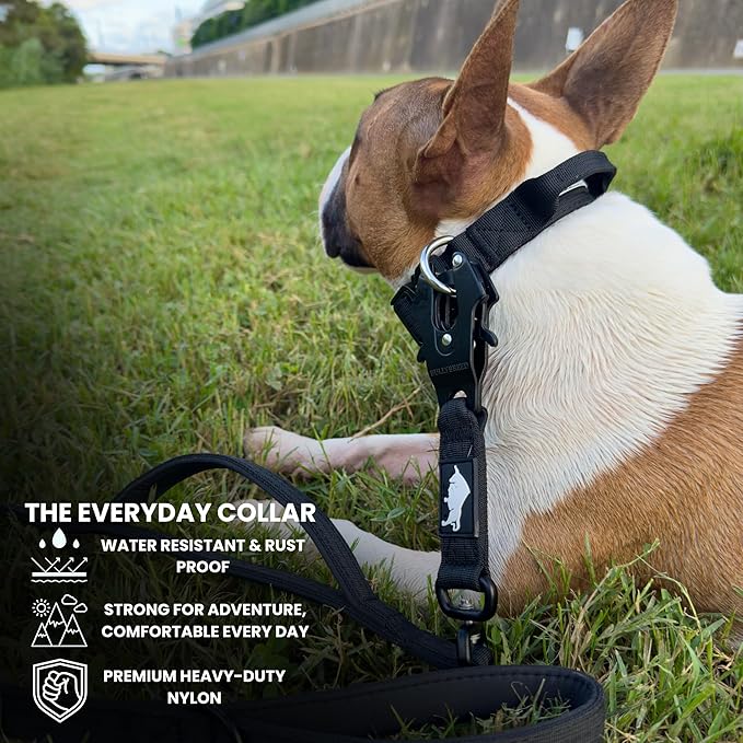 Tactical Dog Collar for Puppy, Heavy Duty Puppy Collar, Dog Collar for Small Dogs, Waterproof Dog Collar, Dog Training Collar, Quick-Release Metal Buckle, Adjustable Sizes – BULLYBREED (Black, Small)