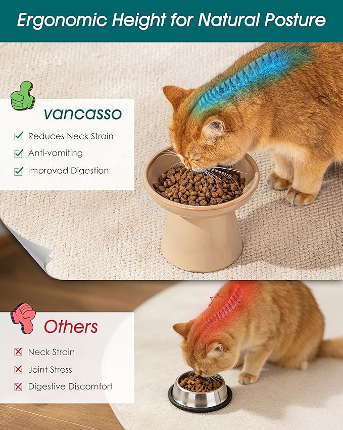 vancasso Elevated Cat Food Bowls 2-Pack, 6.2" Wide Shallow Cat Feeding Bowl for Whisker Fatigue, 5.1" Height Ceramic Raised Food Bowls for Senior Cats, Anti Vomit, Brown