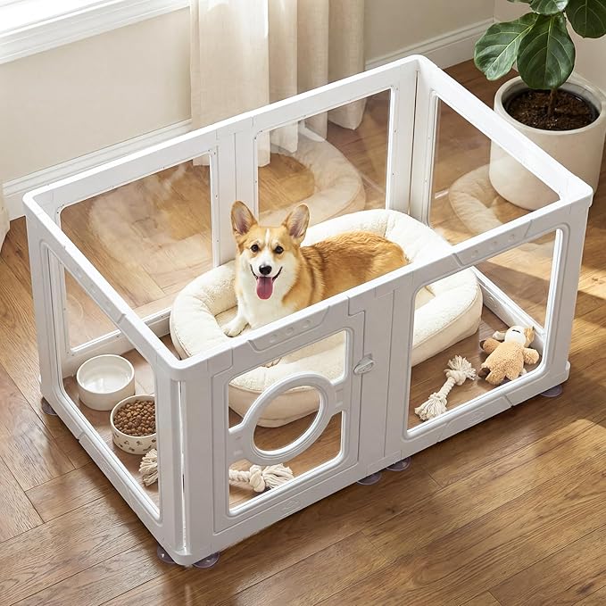 JEKO&JEKO Clear Acrylic Dog Playpen Indoor, Transparent Pet Play Pen for Puppies, Small Dogs, Cats & Rabbits, Easy Assemble Plastic Dog Fence, Easy to Clean (White, 6 Panels)