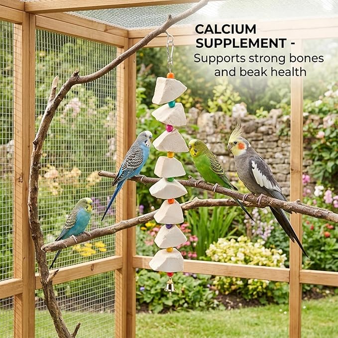 3-Pack Cuttlefish Bone with Volcanic Stone for Parakeets and Small Medium Birds, Cuttlebone for Birds, Natural Beak Care and Calcium Supplement, Cage Enrichment Accessories