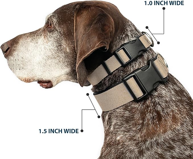 Buckle-Down Dog Collar Plastic Clip Natural Hemp 16 to 23 Inches 1.5 Inch Wide