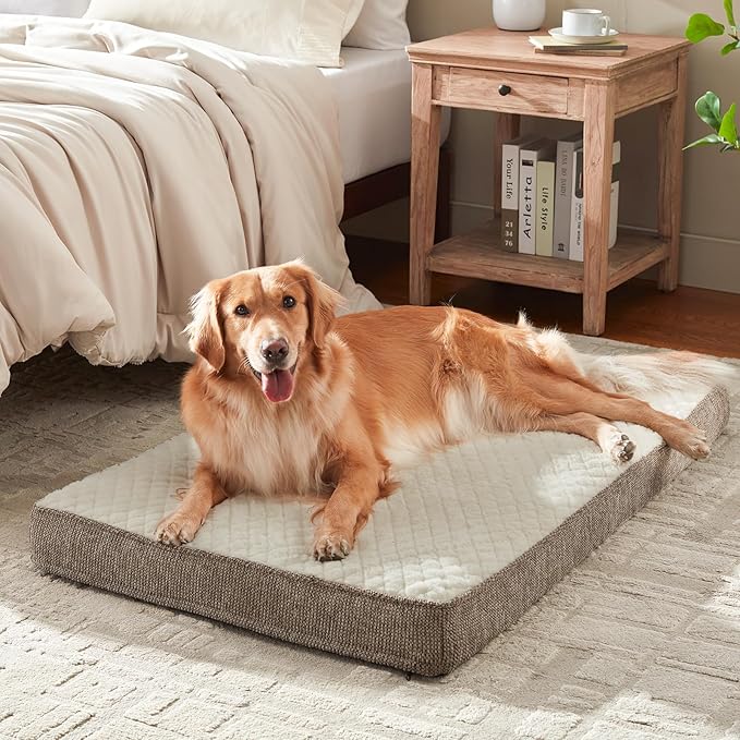 JOEJOY Orthopedic Dog Bed for Large Dogs, Washable Dog Crate Bed Large Sized with Removable Cover, Egg Memory Foam Big Pet Beds, Beige, 35"x22"
