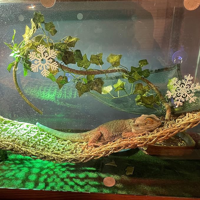 kathson Bearded Dragon Large Hammock,Lizard Lounger 29.53x7.08inches Natural Seagrass Fibers Pet Recliner Flexible Vine Decoration for Gecko Chameleon Snakes (4 PCS)