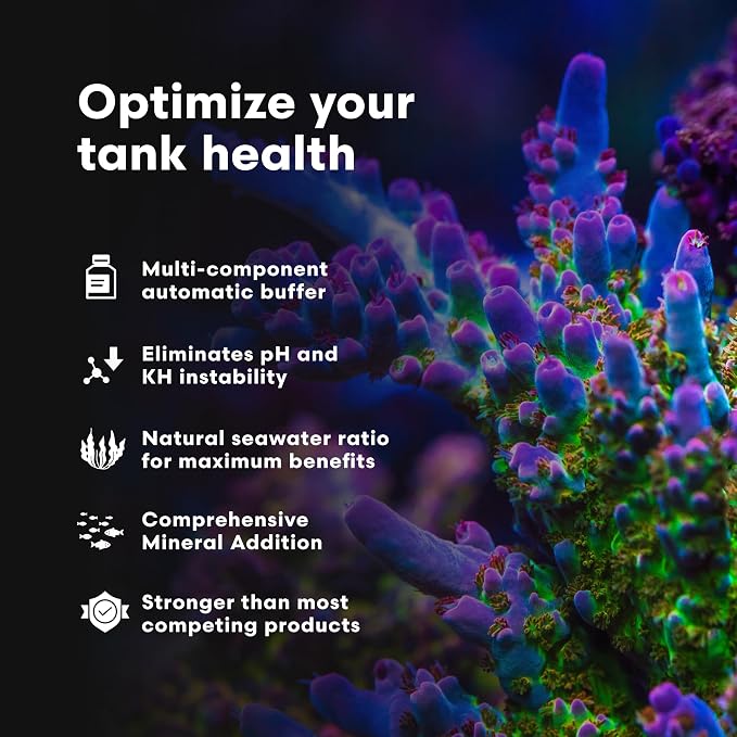Brightwell Aquatics Reef Code B Alkalinity Buffer for Reef Aquariums 2L