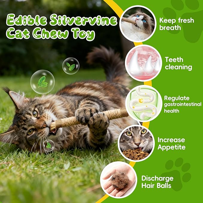 GBSYU Silvervine Sticks for Cats & Cat Chew Rope Toy with Refillable Natural Catnip Bag for Teeth Cleaning, Interactive Cat Catnip Toys for Indoor Cats, Kitten Teething Toys for All Breeds (12Pcs)