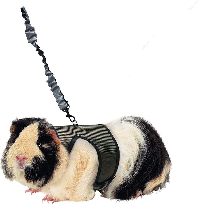 Kaytee Comfort Harness And Stretch Leash Large