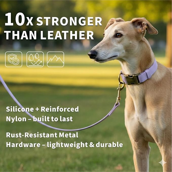 Silicone Dog Collar and Leash Set, Waterproof & Odor-Proof Puppy Collar for Small Dogs, Soft Flexible Leather-Look Dog Collars, Durable Thick Adjustable Pet Collar (Purple, Medium (12.5-20" Neck))