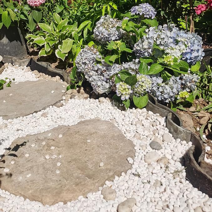 FANTIAN 20 lbs White River Rocks for Landscaping, 0.5-1 Inch Pebbles for Indoor Plants, Decorative Stones for Succulent, Cactus, Vases, Aquariums, Crafting and Garden