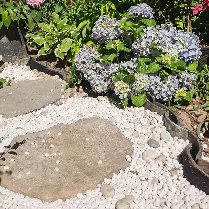 FANTIAN 10 lbs White River Rocks for Garden, 0.5-1 Inch Pebbles for Indoor Plants, Decorative Stones for Landscaping, Succulent, Vases, Aquariums and Zen Garden