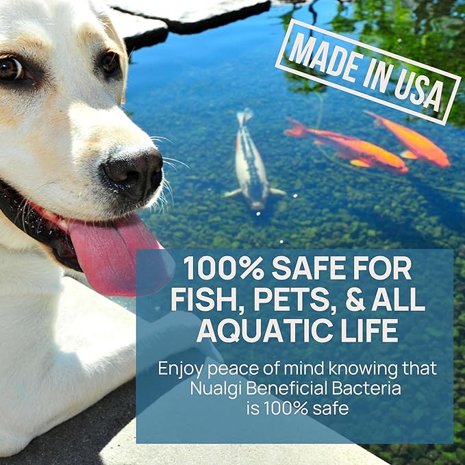 Nualgi Beneficial Bacteria, 16.9 oz Enzyme Bacteria for Freshwater & Organic Ponds, Starter Bacteria for Outdoor Water Gardens, Natural Pond Stabilizer for Fish, Pets & All Aquatic Life