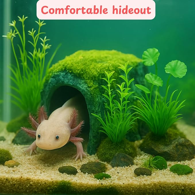 Axolotl Hides for Aquarium with Feeding Dish and Fake Plants Set, Axolotl Cave with Green Plants, Aquarium Decor, Fish Tank Decorations, Turtle Tank Accessories (Cave+Plant+Feeding Dish, L)