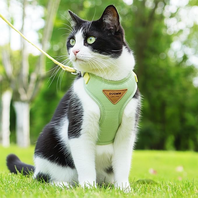 Escape-Proof Cat Harness and Leash Set - Adjustable and Comfortable - Ideal for Walking Cat Outdoors - Fits Small Dogs, Kittens, Medium, and Large Cats (Green, S)