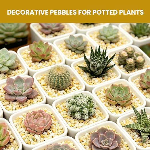 1/8 Inch Aquarium Gravel, Small Pebbles for Fish Tank, Indoor Plants & Succulents, Natural Mini River Rocks for Drainage, Terrarium, Top Dressing & Vase Filler, Cream Beige, 6LB