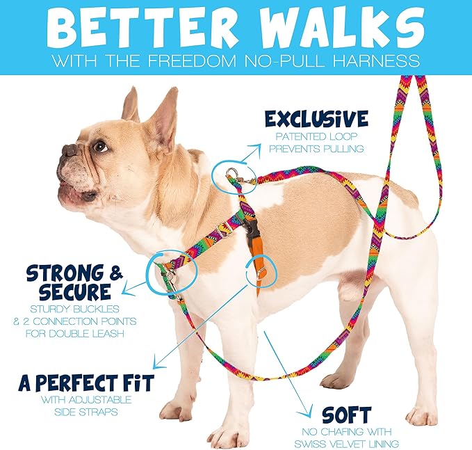 2 Hounds Design Freedom No Pull Dog Harness, Adjustable Harness, Easy Walking & Comfortable Control, Fits Small, Medium & Large Dogs, Solid Colors, Made in USA, 1" LG, Neon Organge