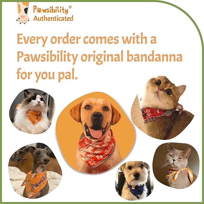 Pawsibility - Reinvented Pet Nail Clippers for Your Pal - [USB Rechargeable] - LED Light for Bloodline | Razor Sharp and Durable Blade | Vets Recommended Trimming Tool for Dogs and Cats - Green