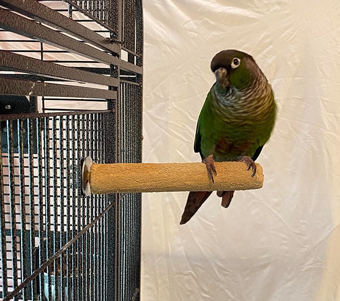 Polly's Pastels Nail Trimming & Beak Conditioning Safety Perch for Cockatiels, Cockatoos, Macaws, Parakeets, Budgies, Parrots and All Other Birds (Brown, Small-1" Dia. x 6" Long)