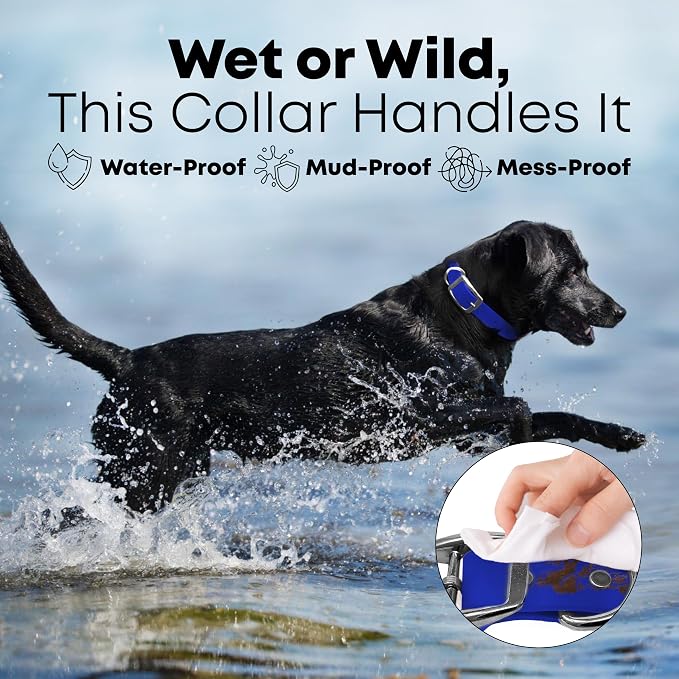 Regal Dog Products Medium Blue Waterproof Dog Collar and Leash Set | Heavy Duty Double Buckle & D Ring - 5'ft Leash | Adjustable Biothane Dog Collar | Chew Resistant Waterproof Collar for Dogs