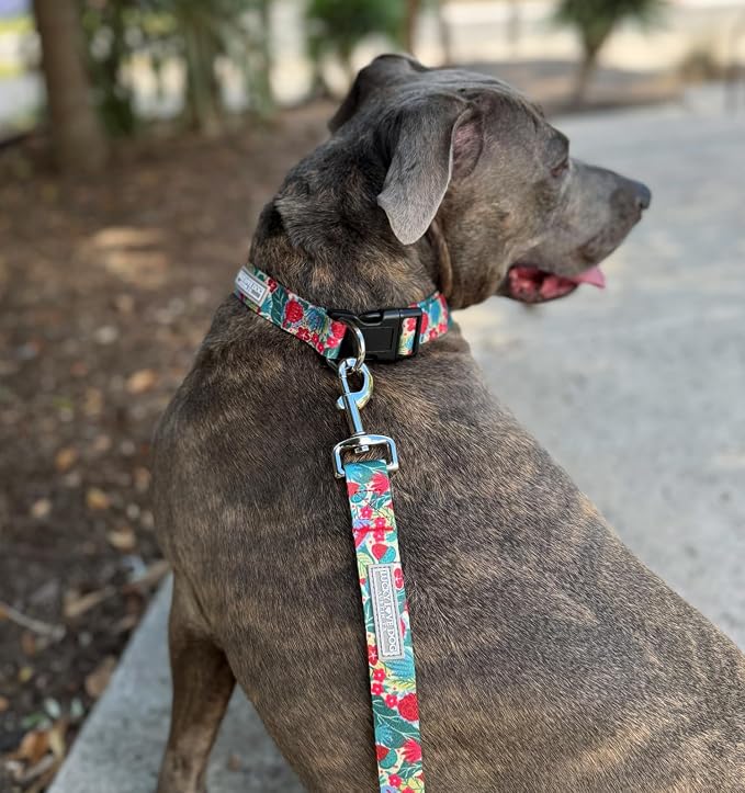 Lucky Love Dog - Adjustable Dog Collar with Easy Click Buckle for Large Ones, Durable, & Comfortable for Male & Female Dogs, Pet Collar for Puppies & Adult Dogs - Ginny, Large