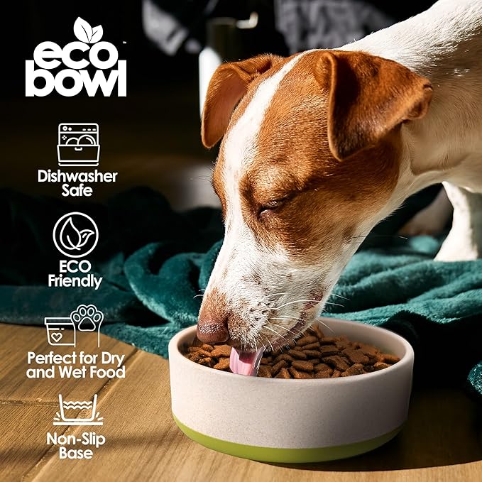 Palz&Co EcoBowl with Lid for Dogs & Cats, 28 oz Green - Natural Bamboo Pet Bowl with Non-Slip Base, Pet Food and Water Dish, Dishwasher Safe