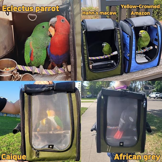 Birds Day Bird Carrier Backpack - Breathable Mesh Portable Parrot Travel Cage with 2PCS Perch, Food Bowl, and Stainless Steel Tray (Dark Olive Green)