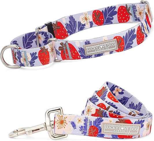 Lucky Love Dog Martingale Collar and Leash Set, Premium Fun Girl No Slip Collars, Strawberry Martingale Dog Collar and Leash Set, Great for Whippets, Greyhounds, and More (Sweet Berry, Large - Combo)
