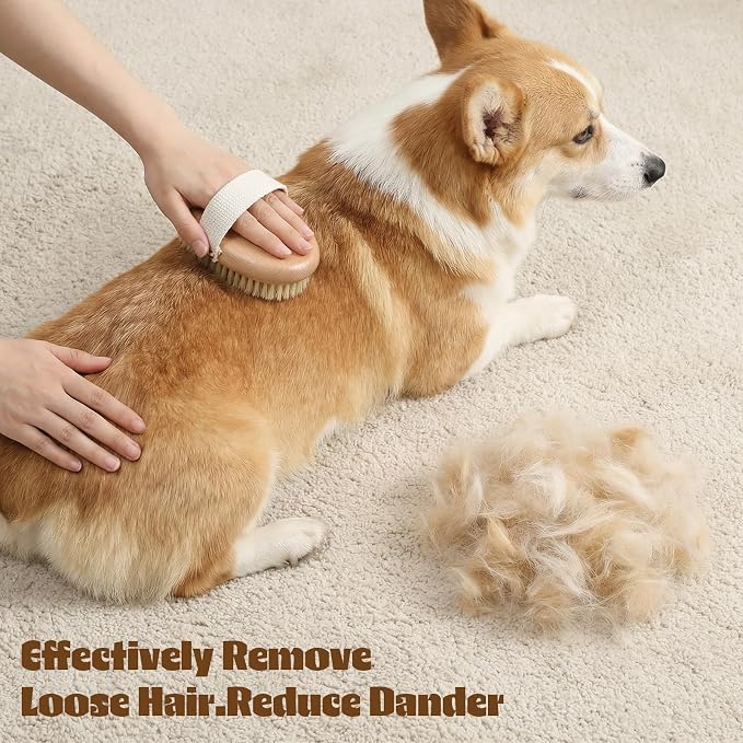 Professional Dog Brush Boar Bristle, Pet Palm Brush For Short Haired Dogs, Flea Comb Cat Brushes For Indoor Cats, Soft Bristle Pet Brushes, Non-Slip Grip, Gentle Grooming For Cats Dogs