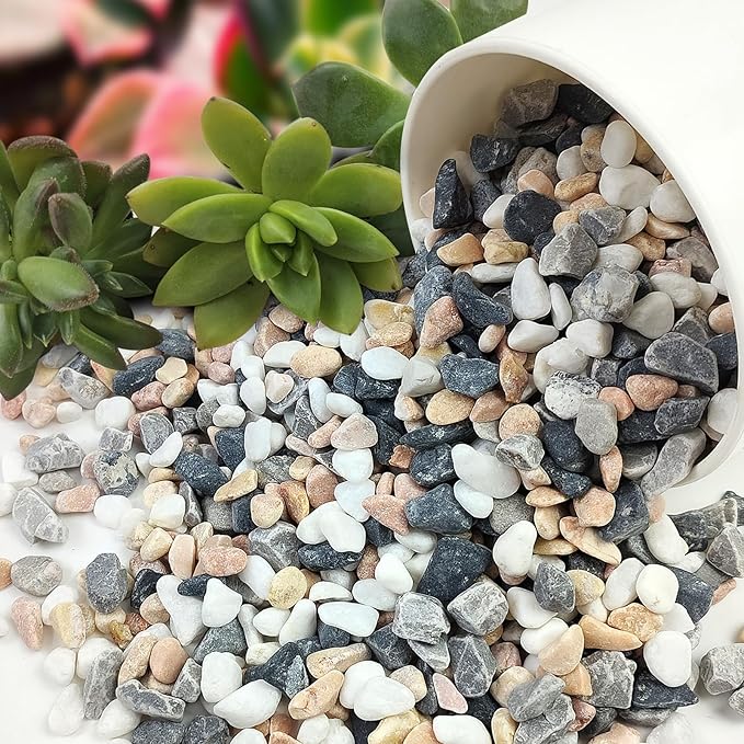 FANTIAN 5 lbs Succulent and Cactus Pebbles for Indoor Plants, 3/8 Inch Pea Gravel Decorative River Rocks for Plants, Vases, Terrarium, Aquarium, Potted Top Dressing and Outdoor Landscaping Stones