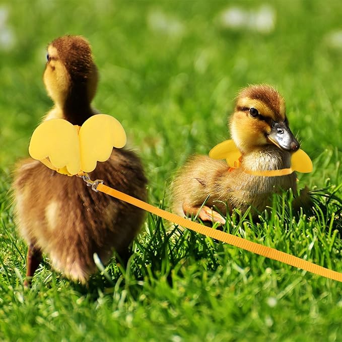 KAMA BRIDAL Duck Walking Harness and Leash Chicken Duck Outdoor Training Rope Adjustable Rope for Pet Poultry Hen Cock (XS, Yellow)