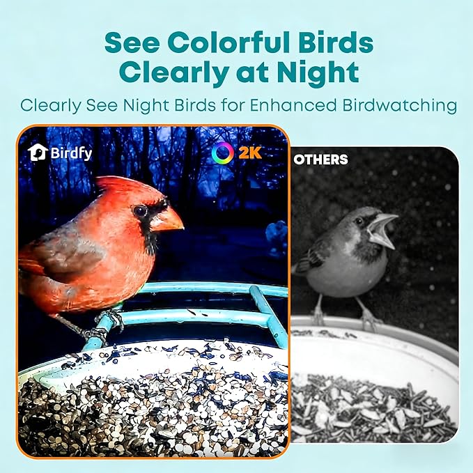 NETVUE by Birdfy Smart Bird Feeder with AI Camera, Auto Capture Videos & Motion Detection, Live Steam, Wireless Wildbird Watching, Outdoor Backyard Birder(AI by Subscription)