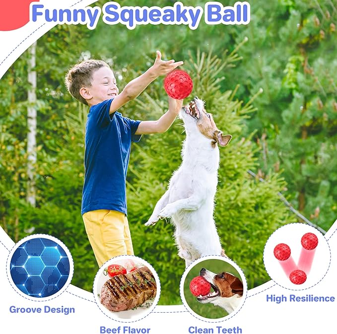 DISSKNIC Indestructible Squeaky Dog Balls for Aggressive Chewers, Interactive Dog Toys for Aggressive Chewers for Relieving Anxiety, Dog Chew Toy Balls for Small Medium Large Dogs, Outdoor Dog Toys