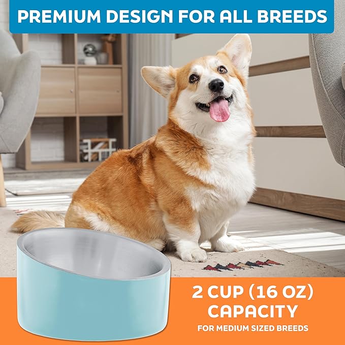 Master Pet Supply Stainless Steel Slanted Dog Cat Food Bowl - 16 oz Heavy Duty - Aqua Sky, Double Wall Insulated, Non-Slip Elevated Bowl for French Bulldogs Pugs Cats, Anti Rust Dishwasher Safe