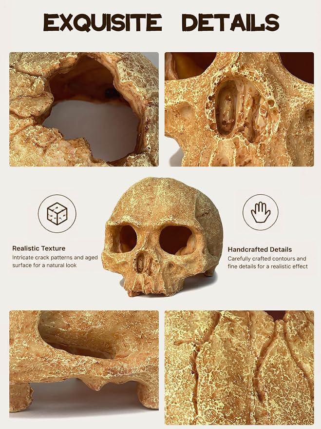 Aquarium Decor - Small Skull Hiding Cave for Fish Tank, Aquarium Hideout Ornament with Skull Texture for Betta, Guppy, Shrimp, Spider - Aquatic Hide Decoration, Fish Hiding House（White）