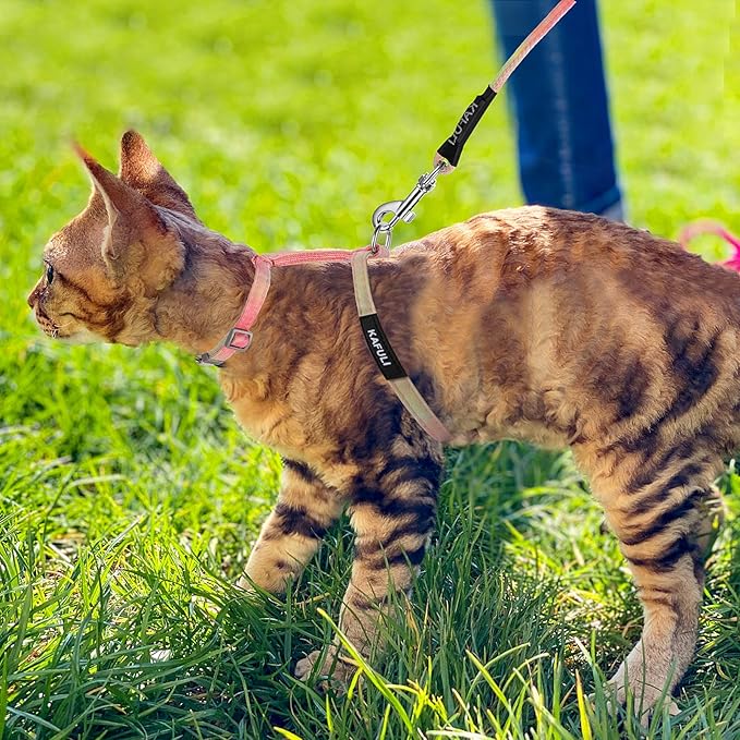 TIESOME Cat Harness and Leash Set, Adjustable Gradient Kitten Harness Escape Proof Harness with Leash for Kitty Outdoor Walking (Orange)