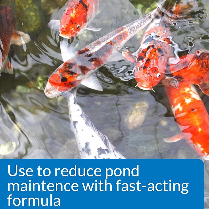 API Pond Water Care Bundle - Clarifier + Conditioner