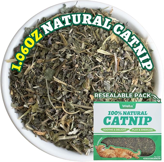 Wellix Fresh Catnip for Cats, Natural Dried Catnip Leaves, Flowers & Stems - Fresh Aroma, Used as Treats or Refillable Cat nip Toys, Non-addtictive, Safe for Indoor Kittens 1.06oz