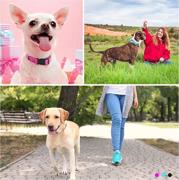 Soft Neoprene Padded Dog Collar and Leash Set for Small Medium Large Dogs, Reflective Durable Nylon Dog Collar with 5ft Leash Easy for Walking, Teal,Neck fit 10.5-15.5’’